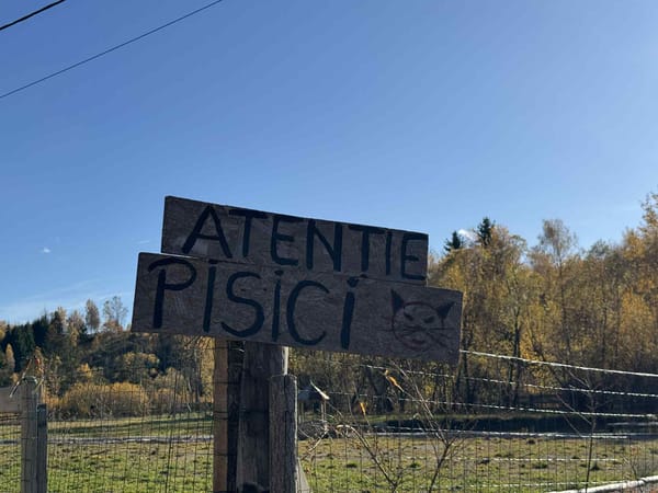 After the Conference